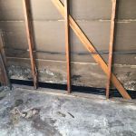 Reliant Mold Testing & Inspections