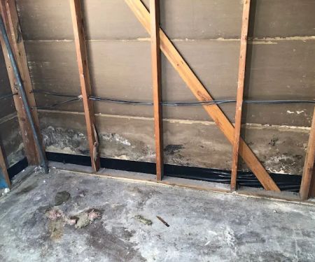 Reliant Mold Testing & Inspections