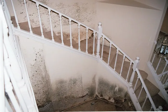 Reliant Mold Testing & Inspections Picture 9