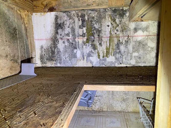 Reliant Mold Testing & Inspections Picture 7