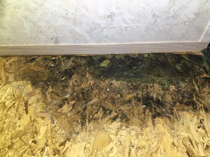 Reliant Mold Testing & Inspections Picture 3