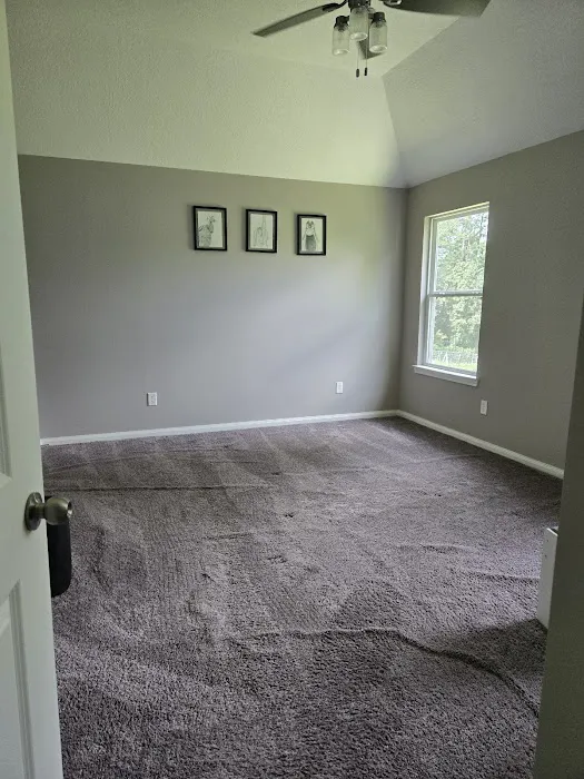 Action Plus Carpet Care & Restoration Picture 8
