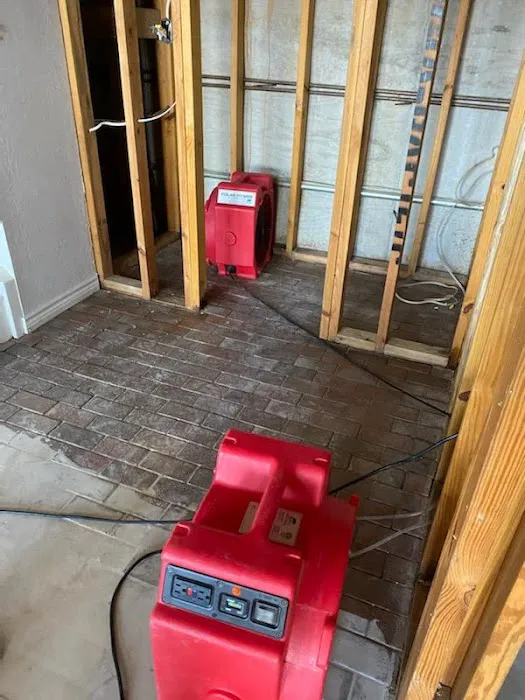 Action Plus Carpet Care & Restoration Picture 5