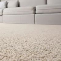 Action Plus Carpet Care & Restoration ico