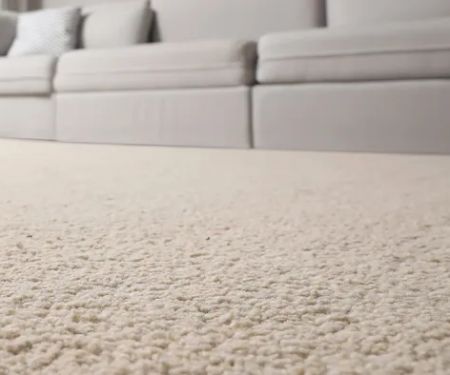 Action Plus Carpet Care & Restoration