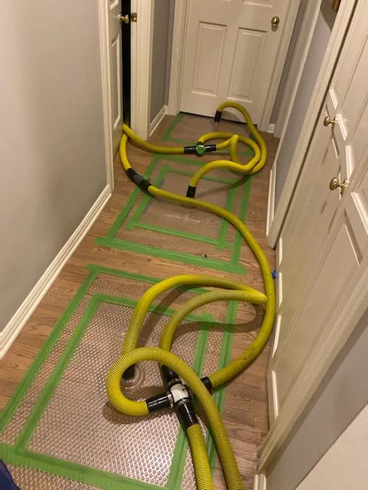 Action Plus Carpet Care & Restoration Picture 2