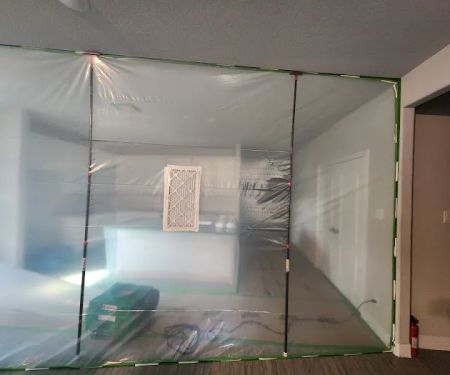 Lone Star Pro Services