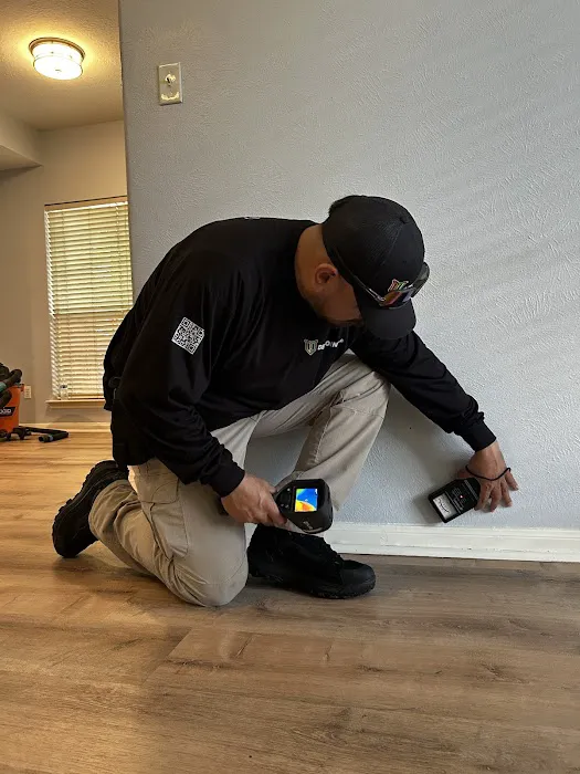 Dew-Point247 Picture 3