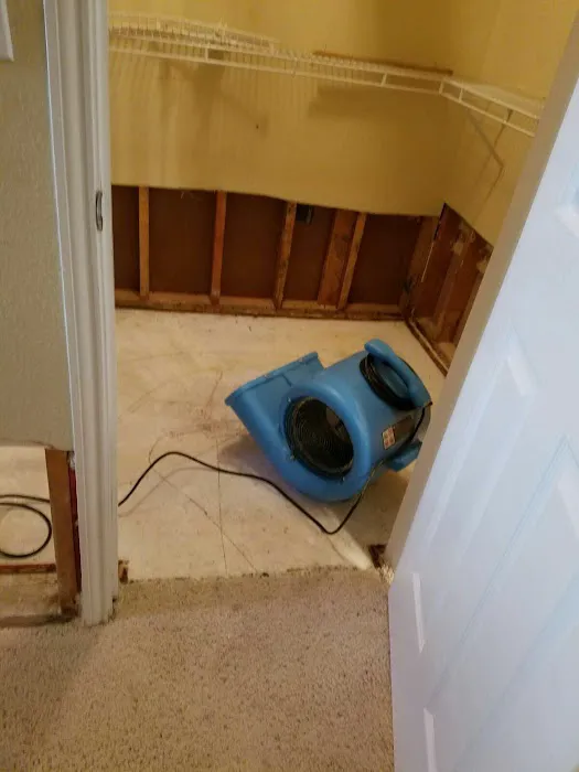 Lone Star Spring Tx Picture 2