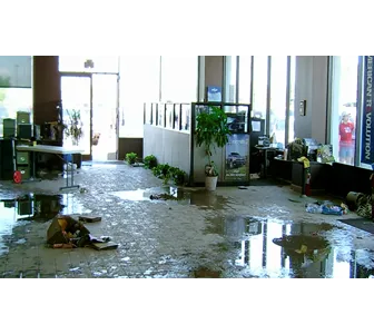 Eco Restoration & Cleaning Services Picture 1