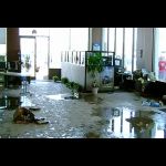 Eco Restoration & Cleaning Services