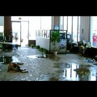 Eco Restoration & Cleaning Services ico