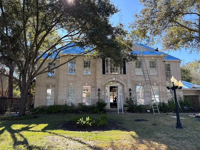 Blue Hippo Picture 4