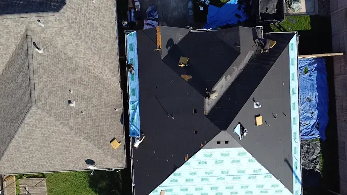 Blue Hippo Picture 8