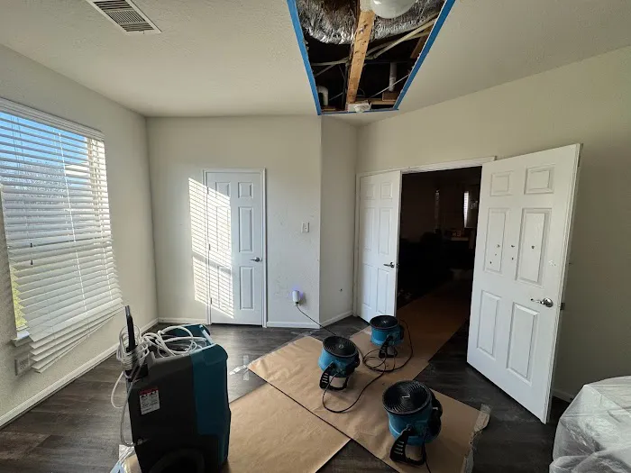 Blue Hippo Picture 3