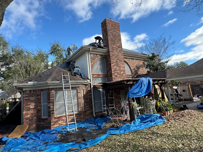 Blue Hippo Picture 5