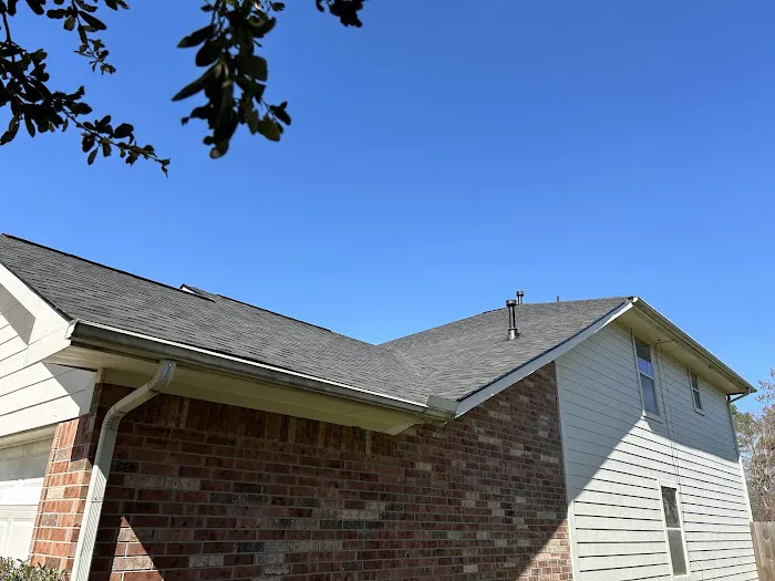 Blue Hippo Picture 7