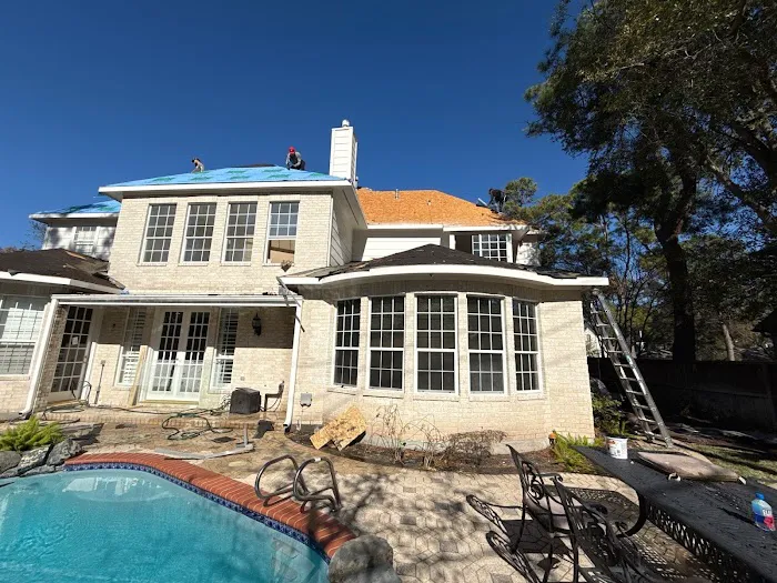 Blue Hippo Picture 9