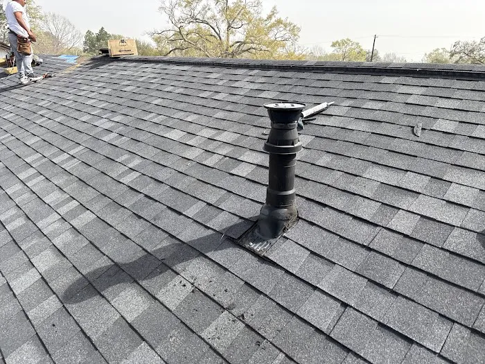 Blue Hippo Picture 10