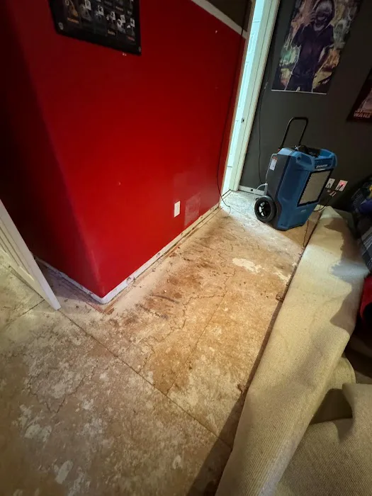 DAVIDS-CLEAN UPS INC Picture 9