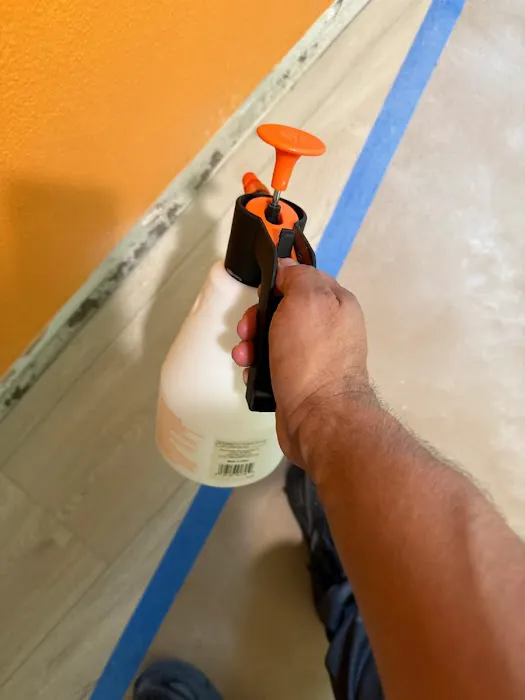 DAVIDS-CLEAN UPS INC Picture 10