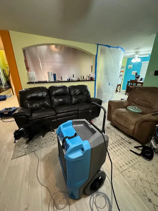 DAVIDS-CLEAN UPS INC Picture 3