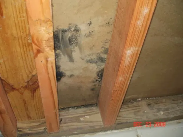 AQ Testing Picture 1