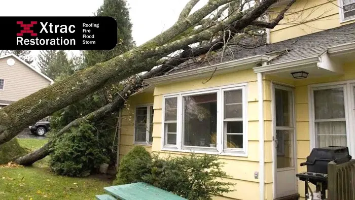 Xtrac Restoration Picture 8