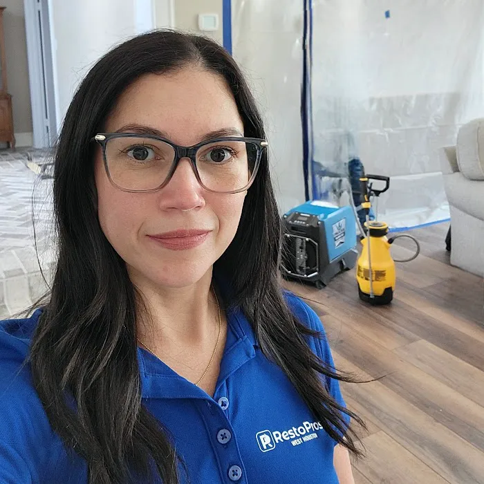 RestoPros of West Houston Picture 10