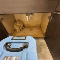 BIONIC Emergency Services ico