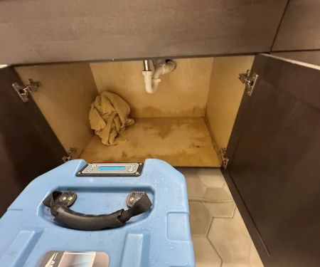 BIONIC Emergency Services