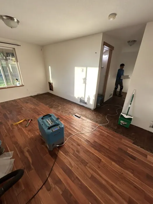 24/7 Restoration Specialists Picture 3