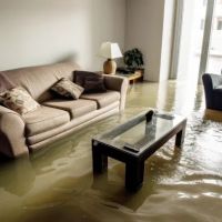 Rhino Emergency Water Removal ico