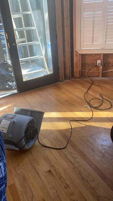 AQE Mold & Water Restoration Picture 2