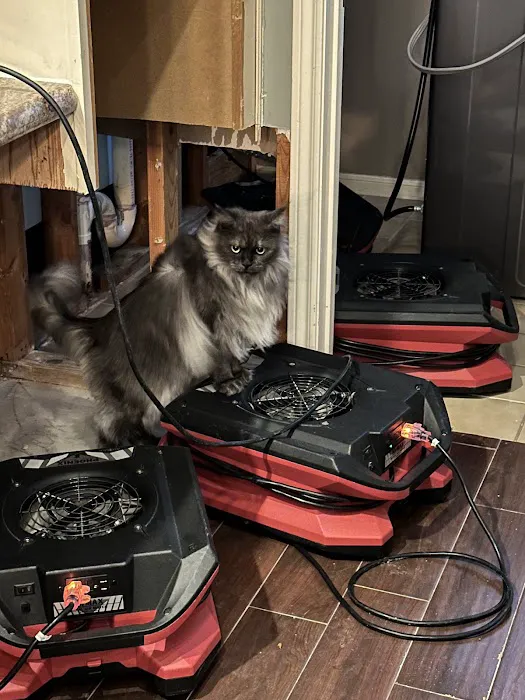 PuroClean of Northeast Houston - Beltway Picture 8