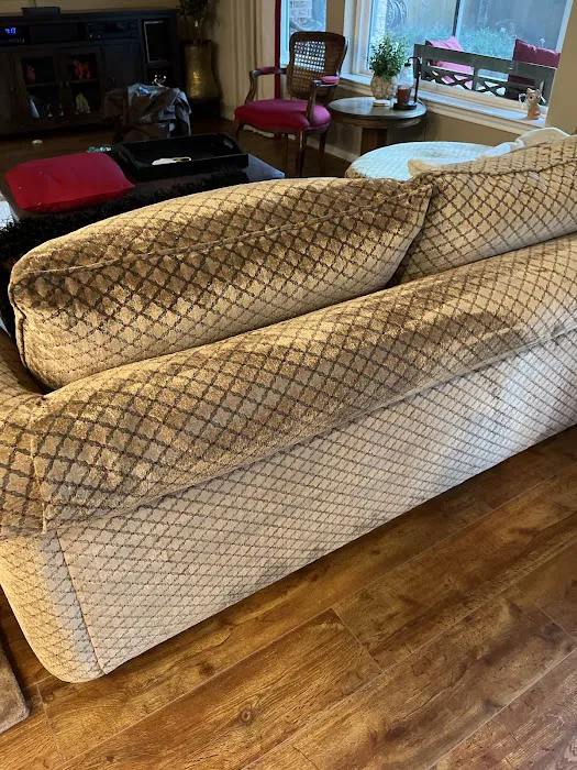 COIT Cleaning and Restoration of Houston Picture 3