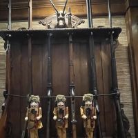 Safe-Harbor Mold Removal & Remediation Houston TX ico