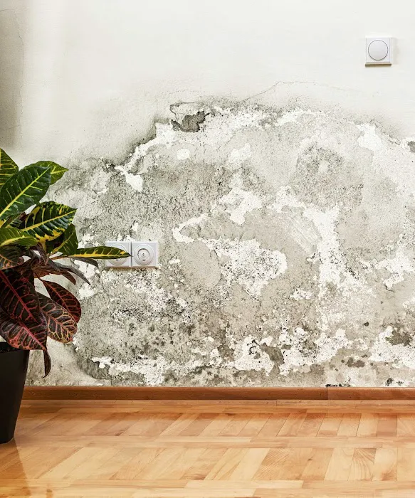 Elite Sugar Land Picture 2