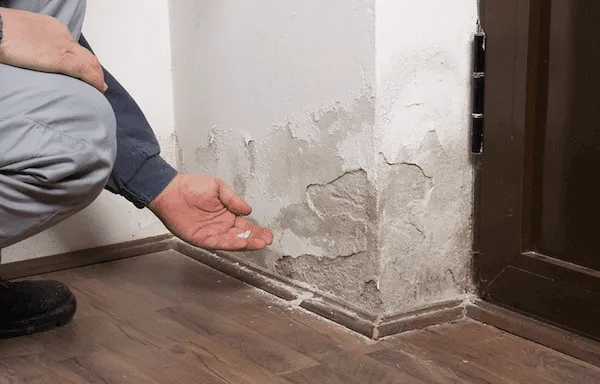 Case Water Damage Restoration Specialists Picture 6