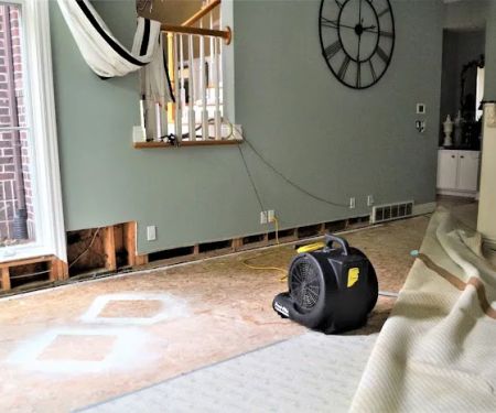 Case Water Damage Restoration Specialists