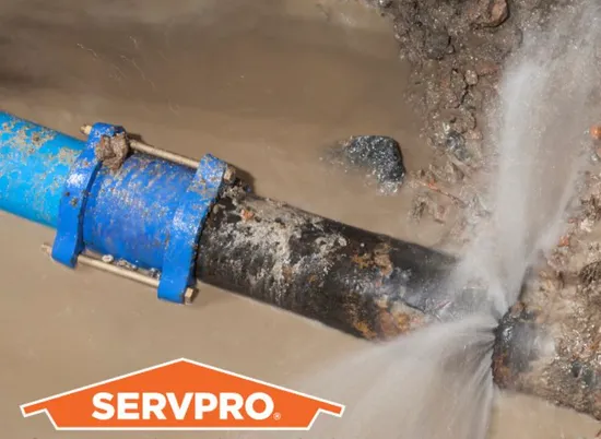 SERVPRO of Stafford, Missouri City North Picture 9