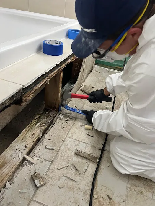 Steamatic of Southwest Houston Picture 6