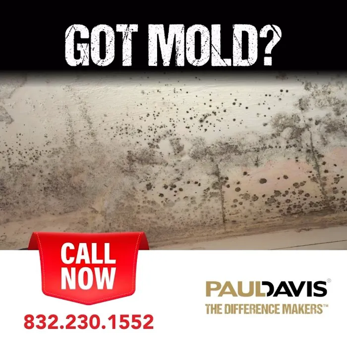 Paul Davis Emergency Services of Galleria Picture 1