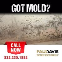 Paul Davis Emergency Services of Galleria ico