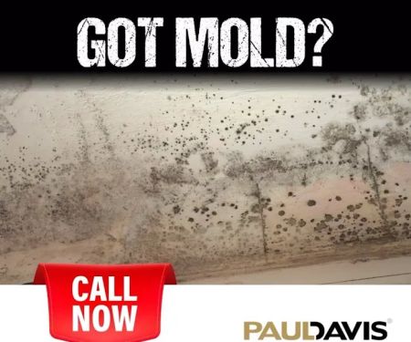 Paul Davis Emergency Services of Galleria