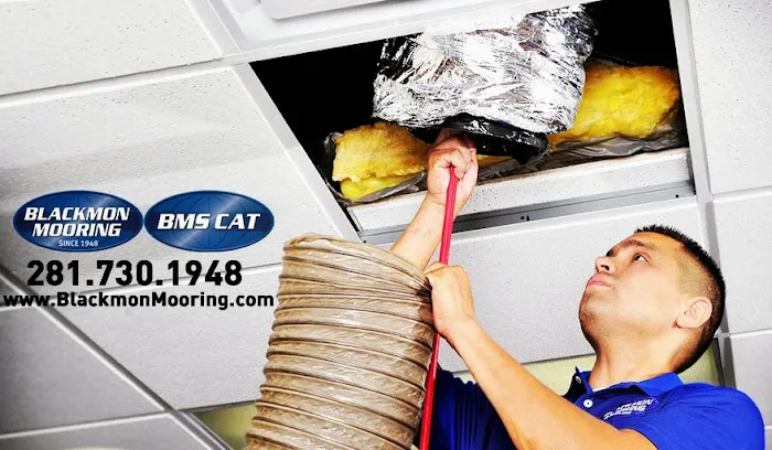 BMS CAT Houston Picture 1