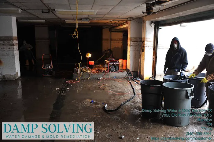 Damp Solving Water & Mold Picture 7
