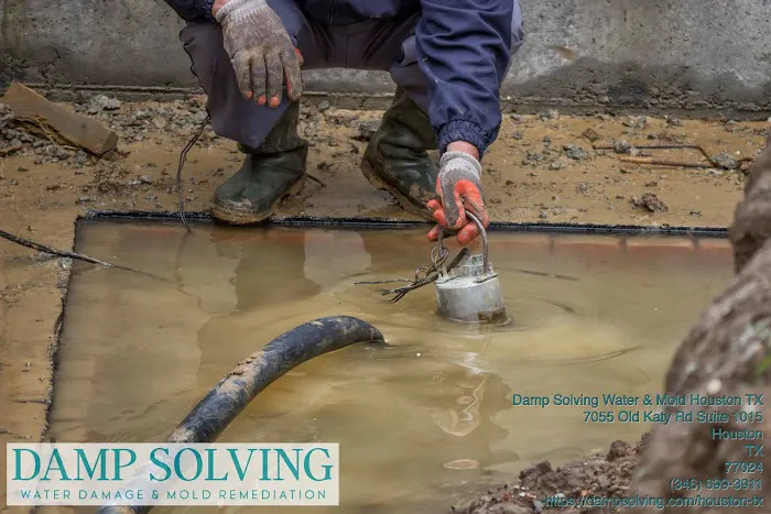 Damp Solving Water & Mold Picture 2