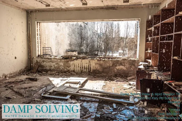 Damp Solving Water & Mold Picture 10