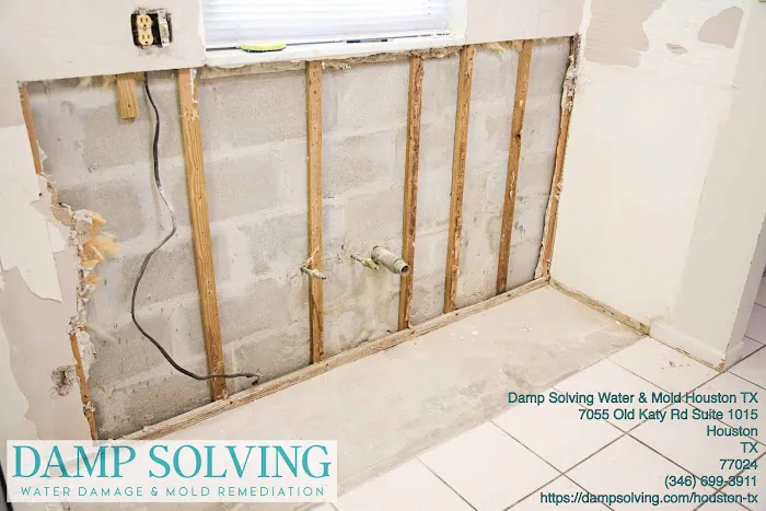 Damp Solving Water & Mold Picture 6